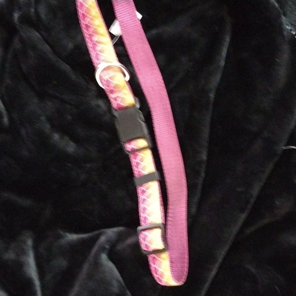 Deluxe XL dog collar, ribbon on rose nylon webbing